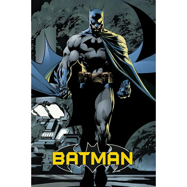 2012 DC COMICS THE DARK KNIGHT RISES MOVIE BATMAN NEW POSTER 22x34 FREE SHIPPING